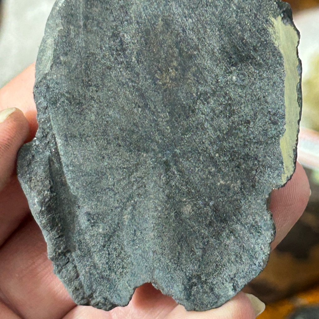 Tsarev Meteorite